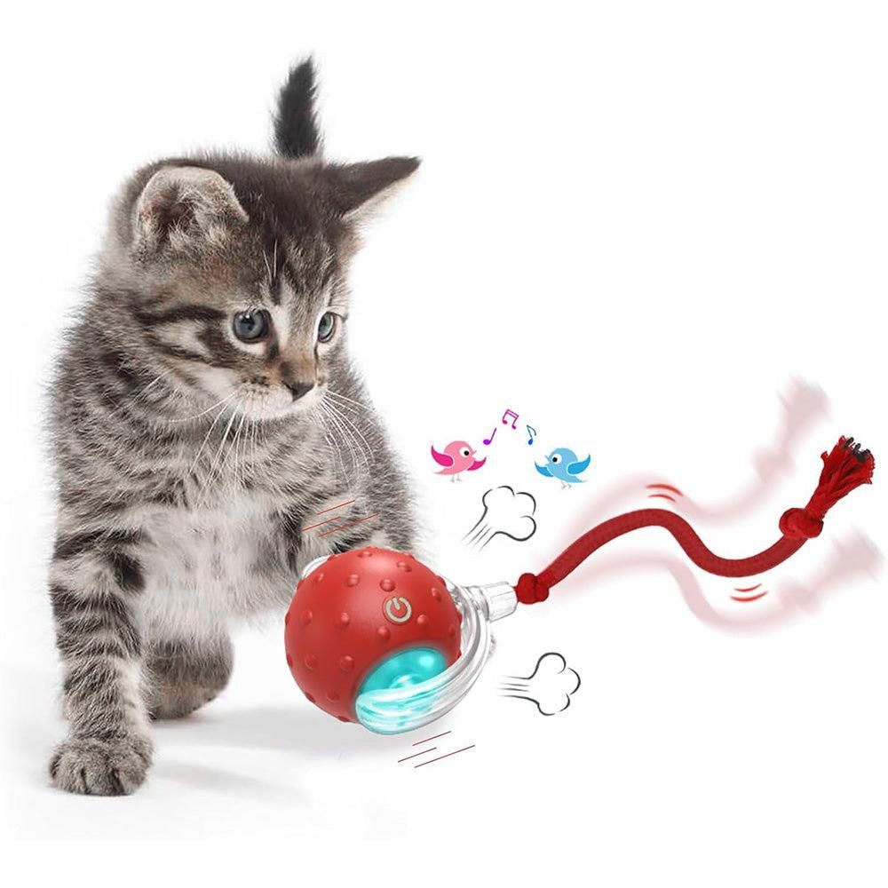 Motion Activate Interactive Cat Toy Rechargeable Smart Rolling Ball with Rope Red V1263-JX-6937