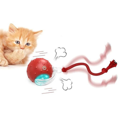 Motion Activate Interactive Cat Toy Rechargeable Smart Rolling Ball with Rope Red V1263-JX-6937