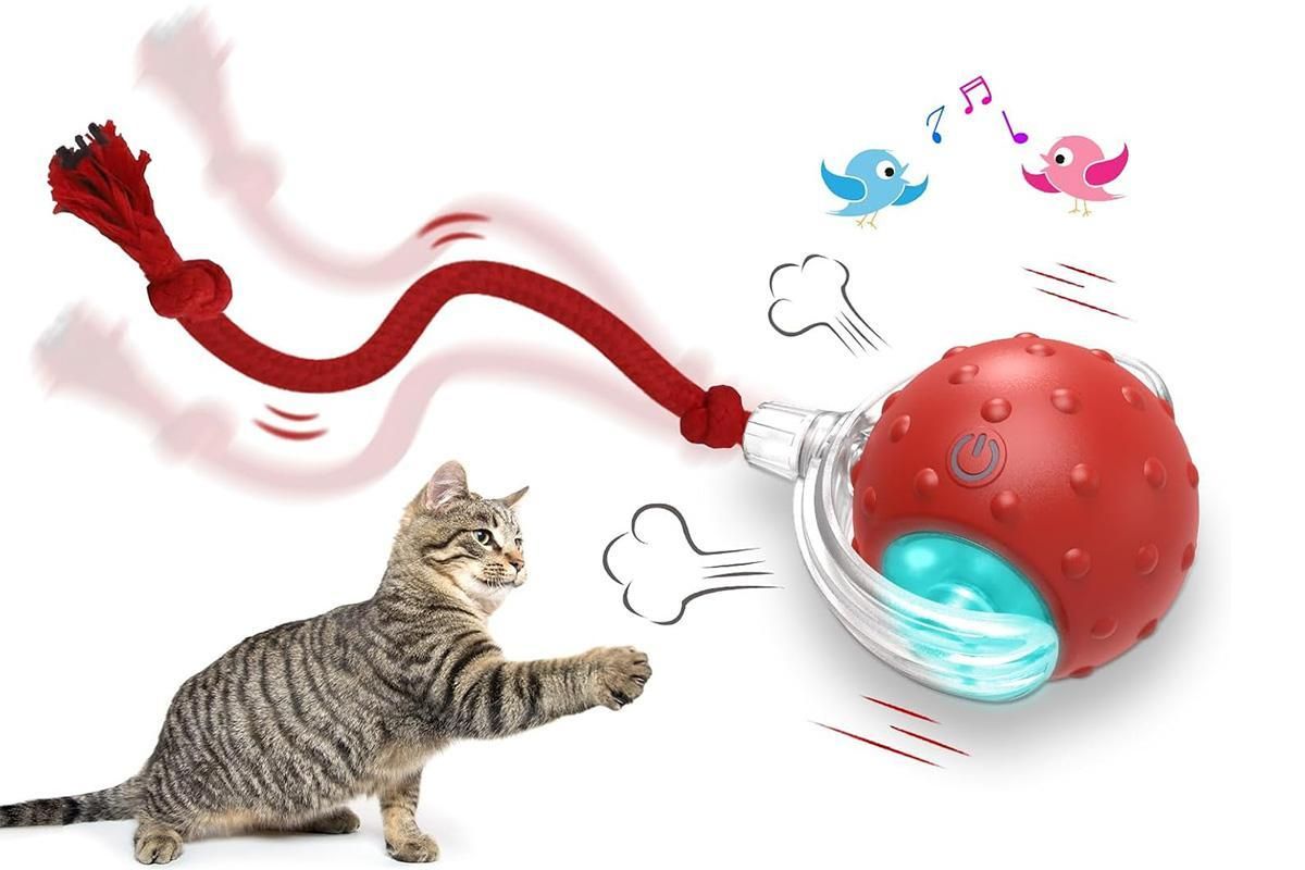 Motion Activate Interactive Cat Toy Rechargeable Smart Rolling Ball with Rope Red V1263-JX-6937