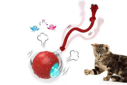 Motion Activate Interactive Cat Toy Rechargeable Smart Rolling Ball with Rope Red V1263-JX-6937