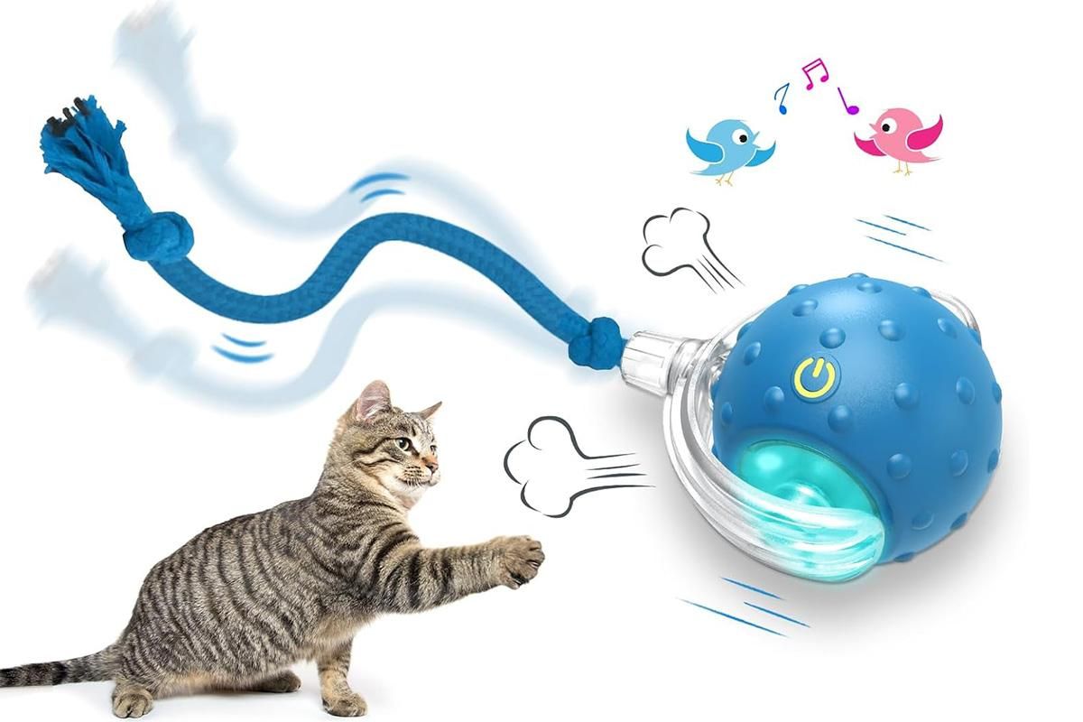Motion Activate Interactive Cat Toy Rechargeable Smart Rolling Ball with Rope Red V1263-JX-6937