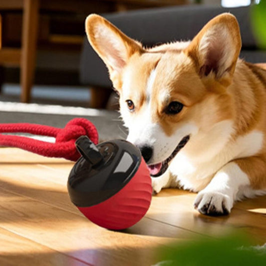 Squeaky Rolling Ball Dog Toy - Interactive Motion-Activated Chew Toy for Dogs Red V1263-JX-6945