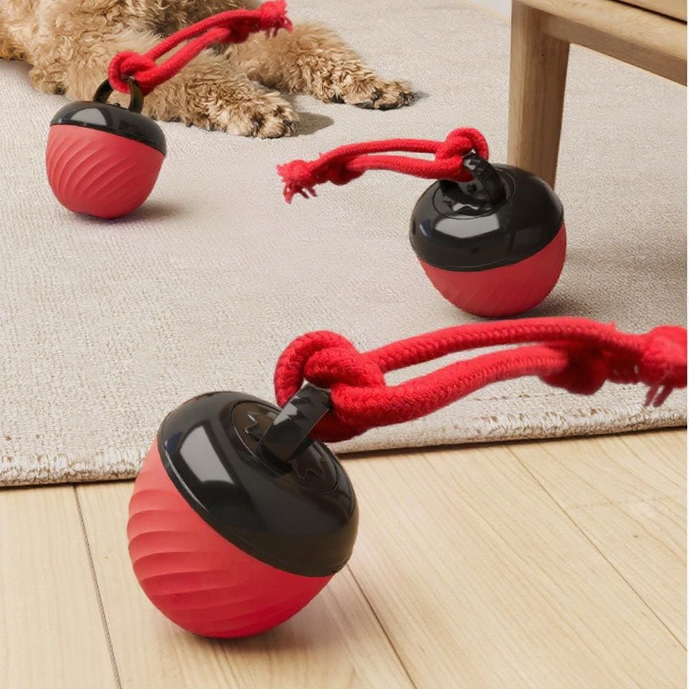 Squeaky Rolling Ball Dog Toy - Interactive Motion-Activated Chew Toy for Dogs Red V1263-JX-6945
