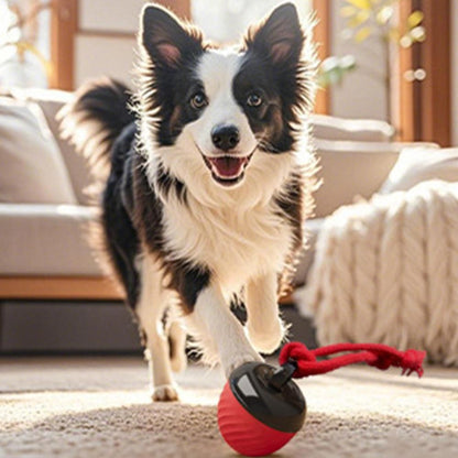 Squeaky Rolling Ball Dog Toy - Interactive Motion-Activated Chew Toy for Dogs Red V1263-JX-6945
