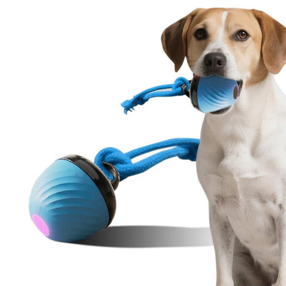 Squeaky Rolling Ball Dog Toy - Interactive Motion-Activated Chew Toy for Dogs Red V1263-JX-6945