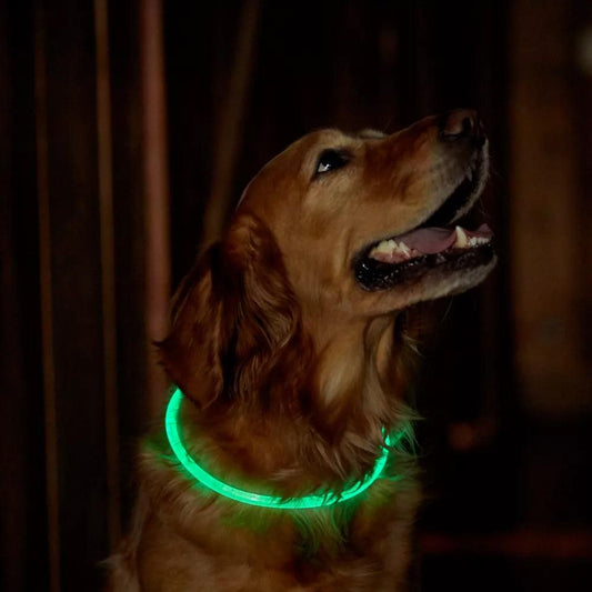 Light-Up Pet Dog Collars USB Rechargeable Pet Collar Adjustable Size Pet Collar Green - S V1263-JX-6947-1