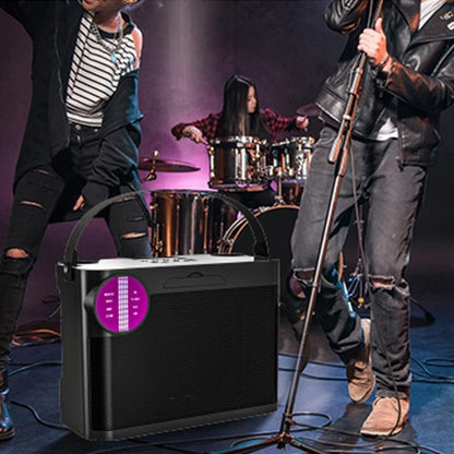 Portable Bluetooth 5.3 Speaker with 2 Wireless Microphones Home Karaoke Speaker Machine Black V1263-JX-6972-1
