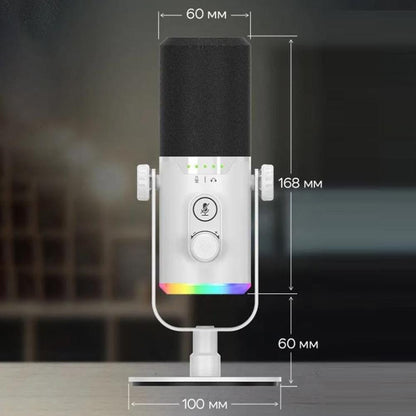 RGB Dynamic Gaming Microphone XLR/USB Interface for PC Streaming Podcast Recording Style 1 V1263-JX-7074-2