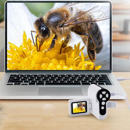 1000X Zoom Pocket Microscope LED Screen Handheld Mini Microscope with 32GB SD Card V1263-JX-7302