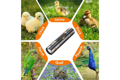 3 in 1 Egg Candler Light for Chicken Ostrich Eggs V1263-JX-7376