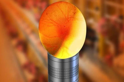 3 in 1 Egg Candler Light for Chicken Ostrich Eggs V1263-JX-7376