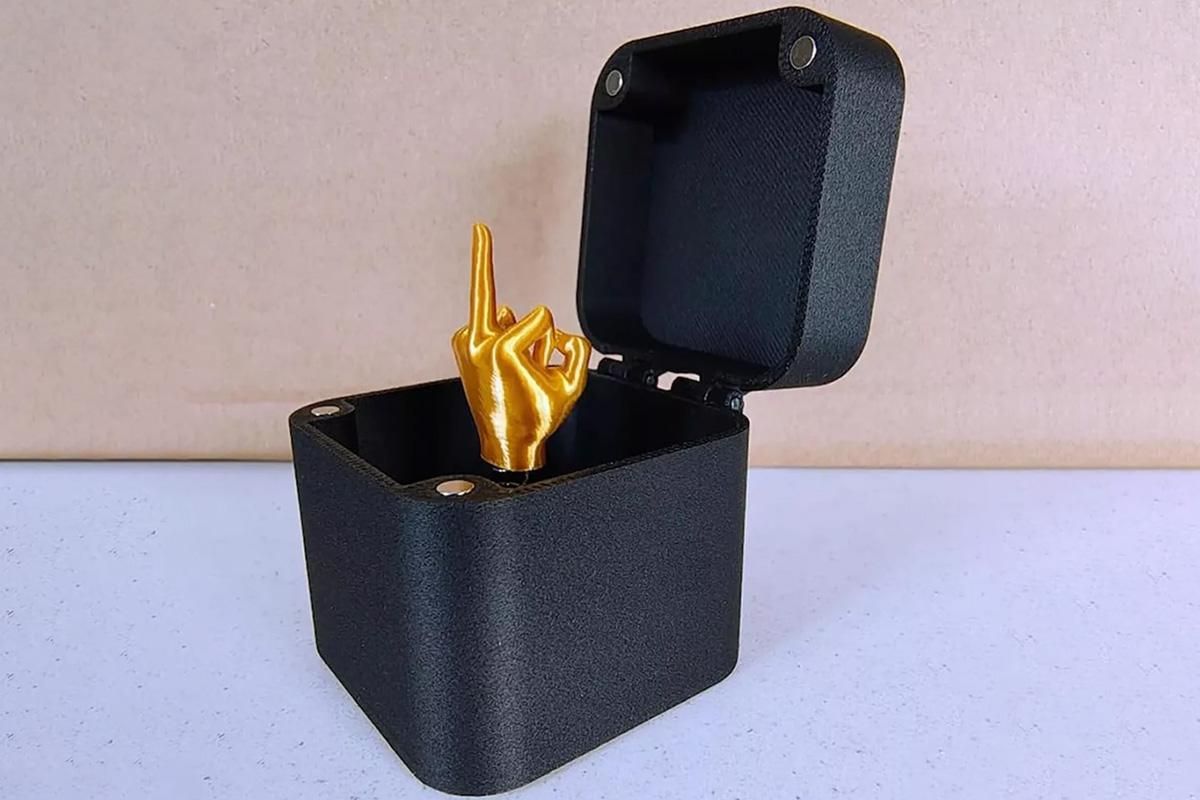 Middle Finger in a Box Middle Finger Surprise Box V1263-JX-7394