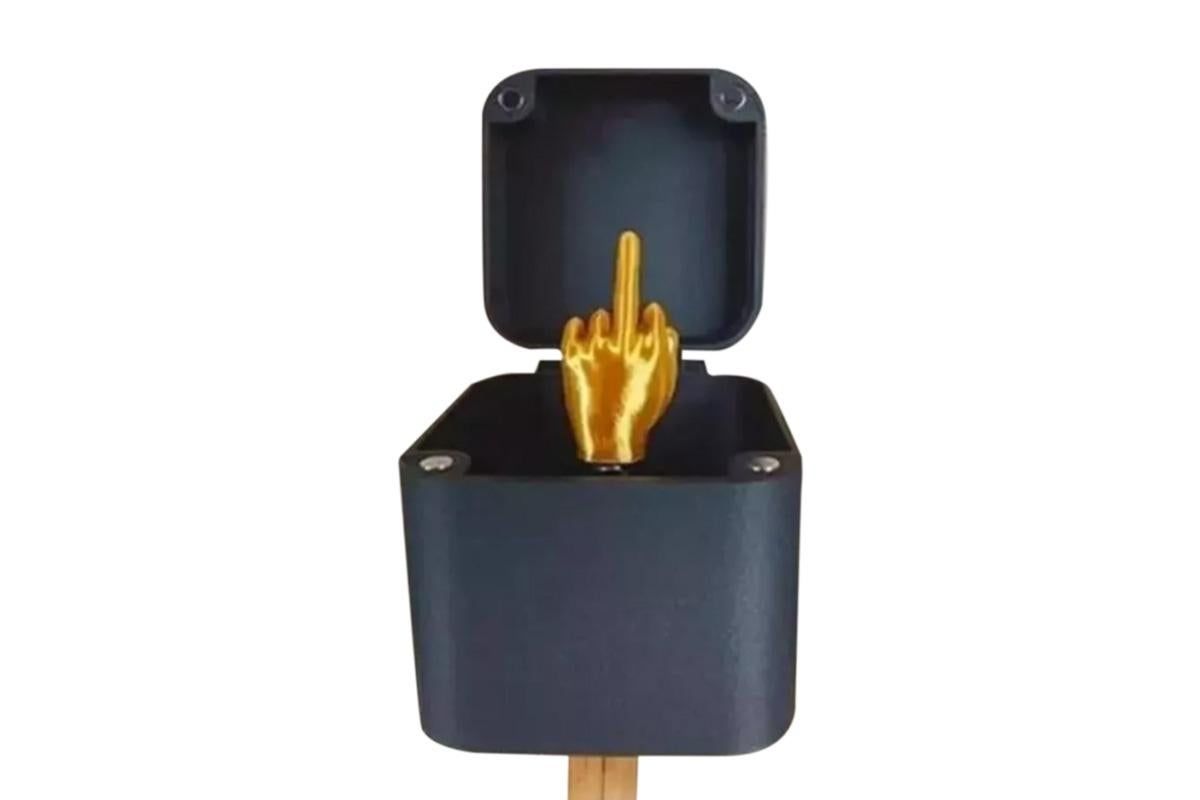 Middle Finger in a Box Middle Finger Surprise Box V1263-JX-7394