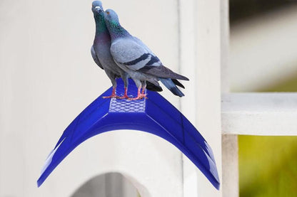 10 Pack Pigeon Dove Rest Stand Frame Dwelling Perches Roost Bird Supplies Set V1263-JX-7496