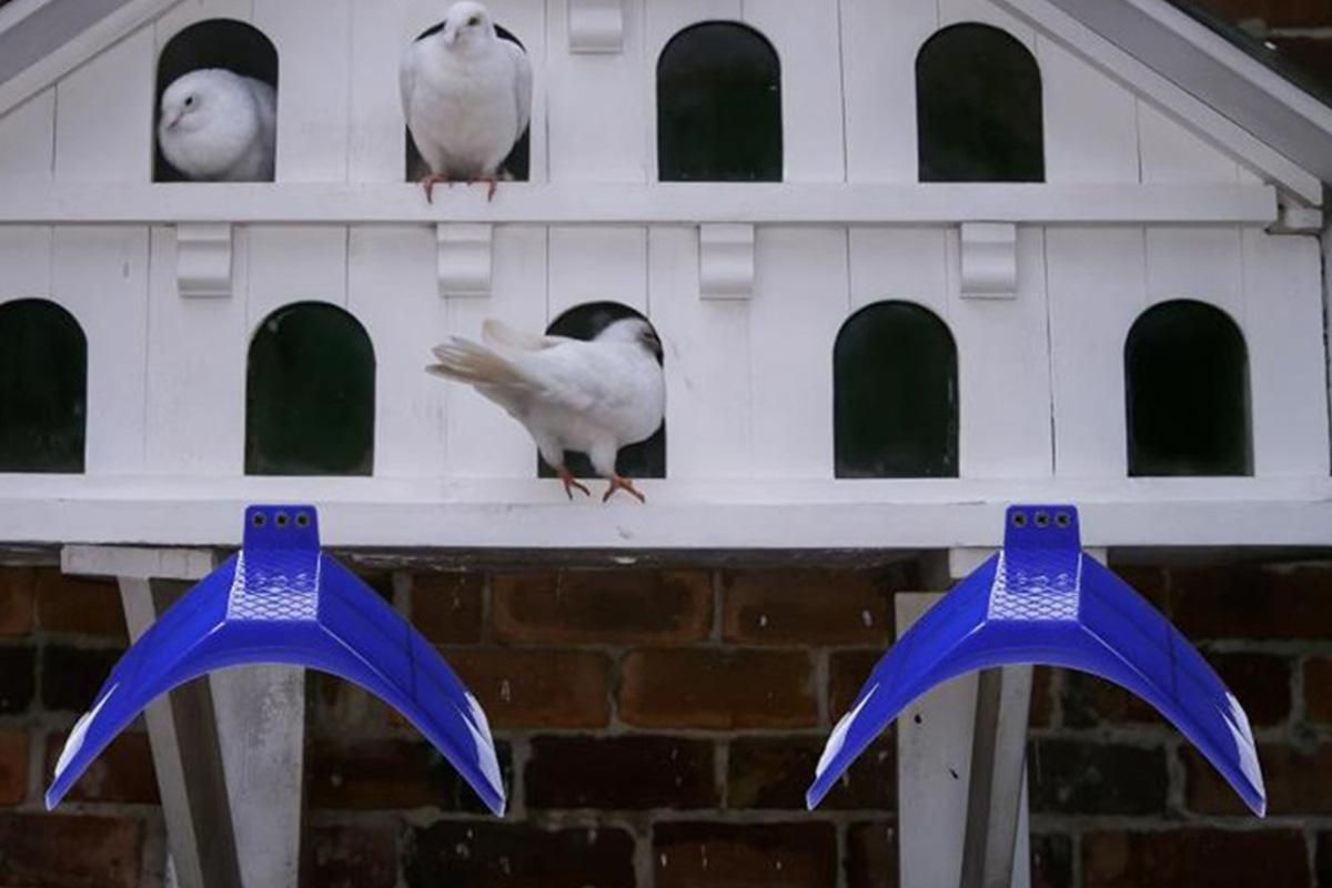 10 Pack Pigeon Dove Rest Stand Frame Dwelling Perches Roost Bird Supplies Set V1263-JX-7496