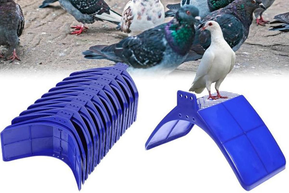 10 Pack Pigeon Dove Rest Stand Frame Dwelling Perches Roost Bird Supplies Set V1263-JX-7496