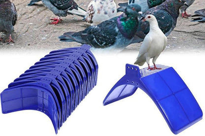 10 Pack Pigeon Dove Rest Stand Frame Dwelling Perches Roost Bird Supplies Set V1263-JX-7496
