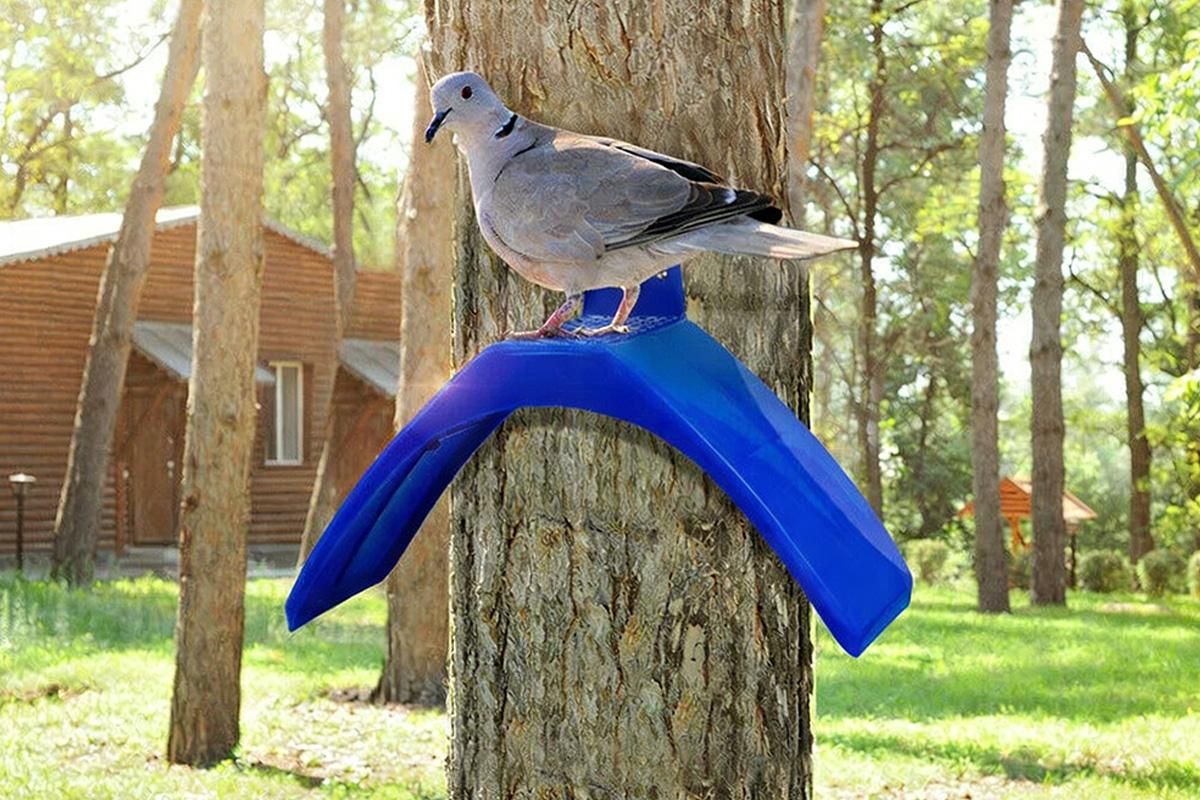 10 Pack Pigeon Dove Rest Stand Frame Dwelling Perches Roost Bird Supplies Set V1263-JX-7496