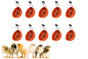 10Pcs Chicken Water Cup Feeder Automatic Drinking Bowl Poultry Cup-Orange V1263-JX-7497