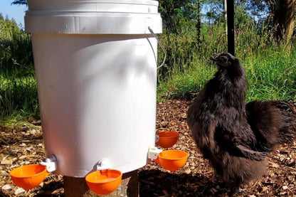 10Pcs Chicken Water Cup Feeder Automatic Drinking Bowl Poultry Cup-Orange V1263-JX-7497