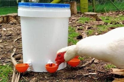 10Pcs Chicken Water Cup Feeder Automatic Drinking Bowl Poultry Cup-Orange V1263-JX-7497
