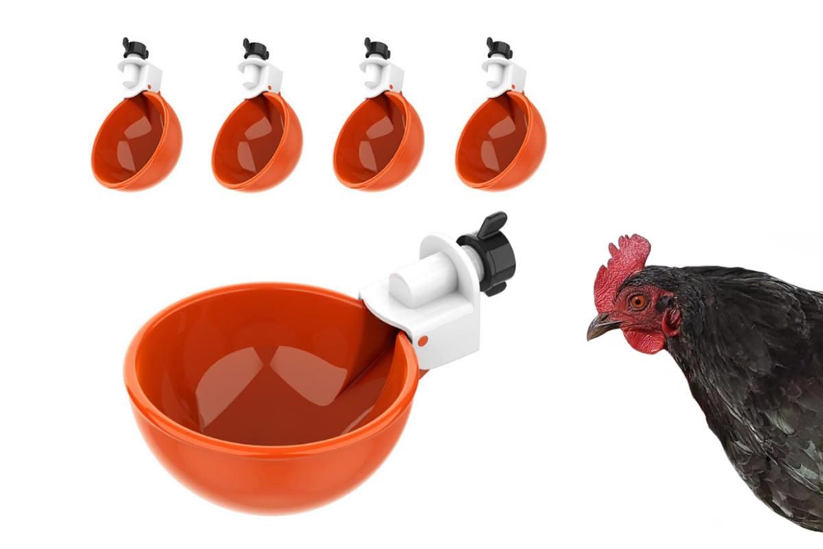 10Pcs Chicken Water Cup Feeder Automatic Drinking Bowl Poultry Cup-Orange V1263-JX-7497
