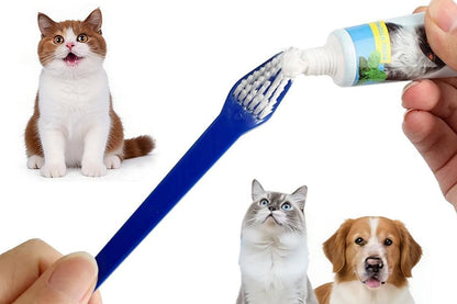 10 Pcs Pet Toothbrush Dual-End Long Handle for Dogs Cats V1263-JX-7498