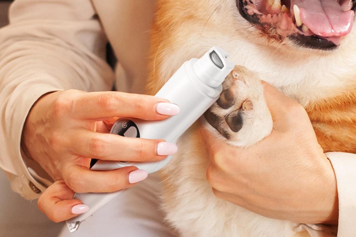 2 in 1 Pet Grooming Clippers with Nail Grinder and LED Display V1263-JX-7503