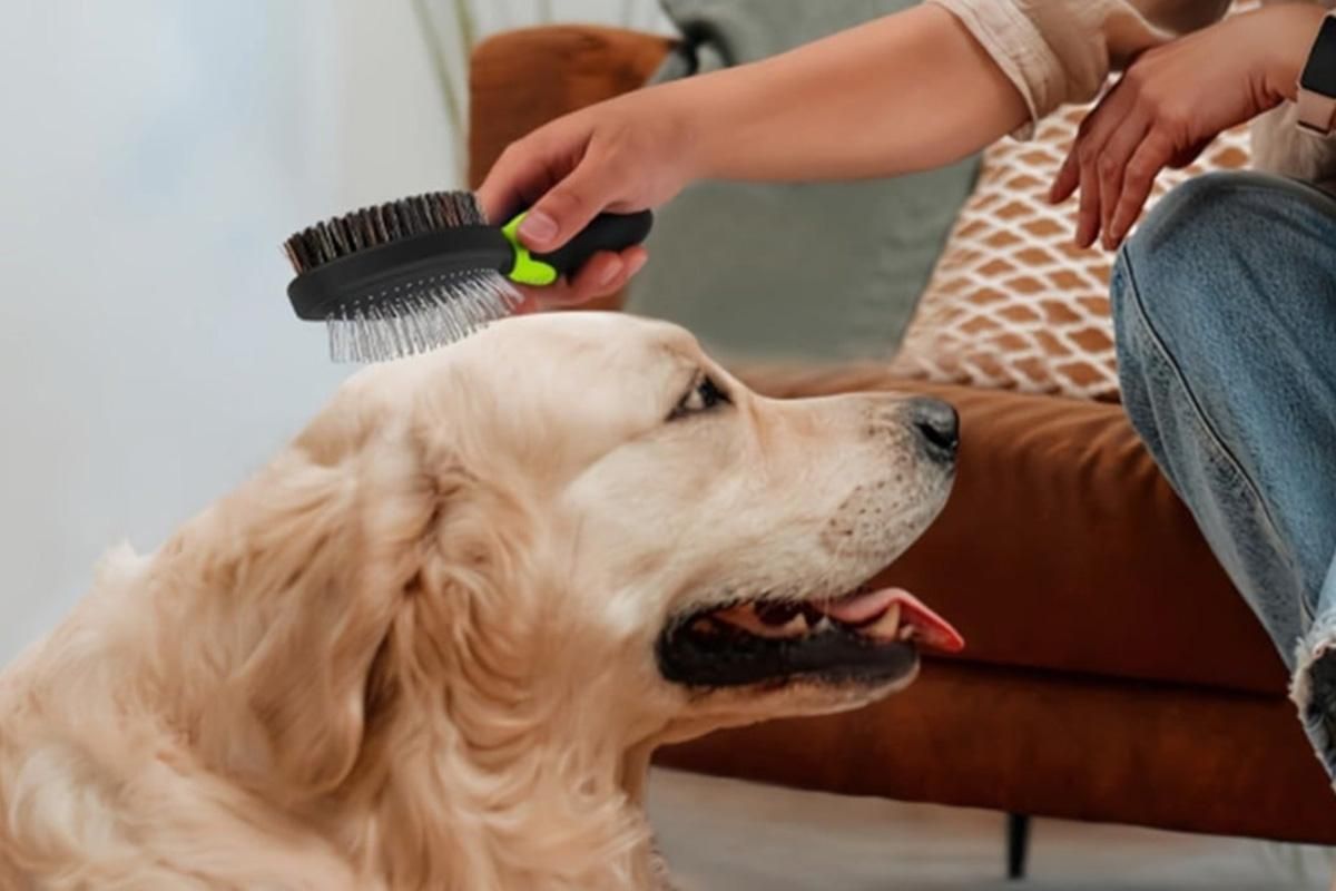 2 Pack Pet Grooming Brush Set Deshedding Double Sided Comb Massage Brush-Green V1263-JX-7504-1
