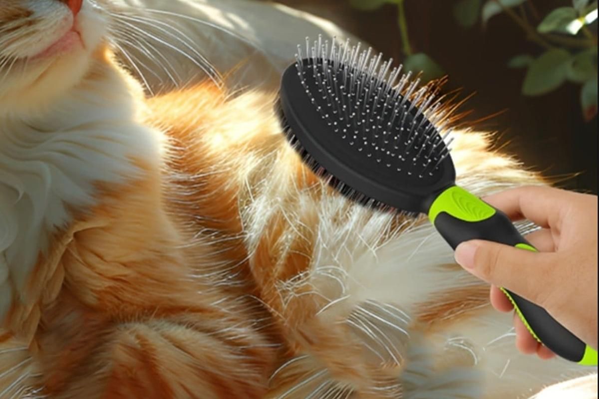 2 Pack Pet Grooming Brush Set Deshedding Double Sided Comb Massage Brush-Green V1263-JX-7504-1