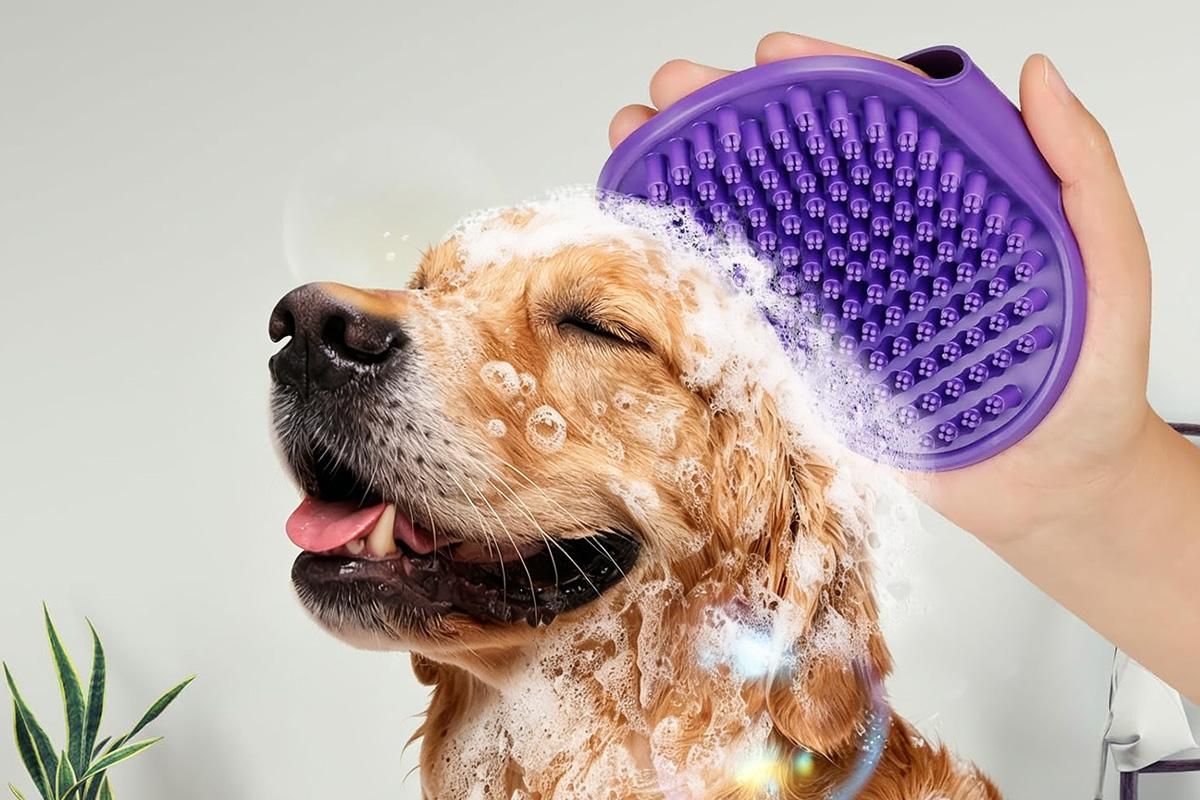 2 Pack Pet Grooming Brush Set Deshedding Double Sided Comb Massage Brush-Purple V1263-JX-7504-2