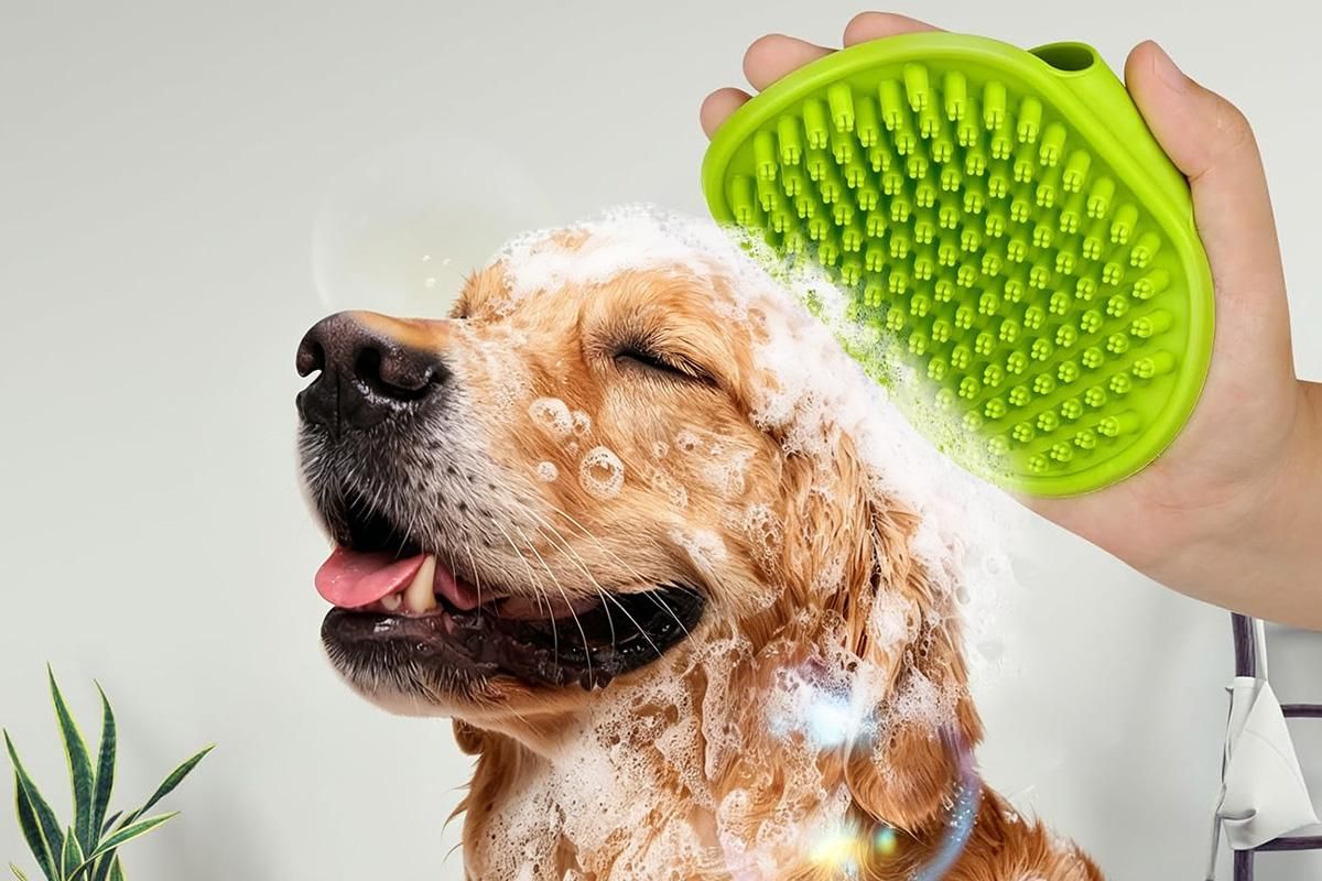 2 Pack Pet Grooming Brush Set Deshedding Double Sided Comb Massage Brush-Purple V1263-JX-7504-2