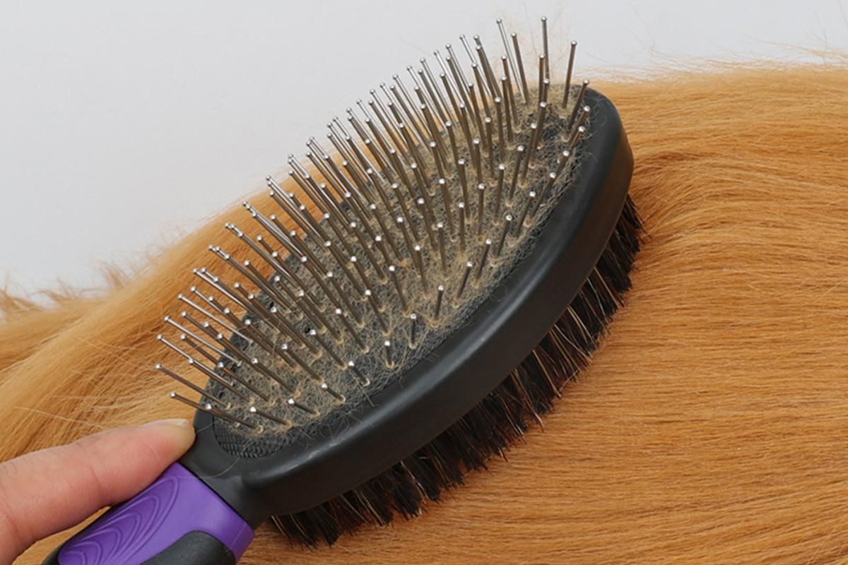 2 Pack Pet Grooming Brush Set Deshedding Double Sided Comb Massage Brush-Purple V1263-JX-7504-2