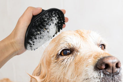 2 Pack Pet Grooming Brush Set Deshedding Double Sided Comb Massage Brush-Black V1263-JX-7504-3