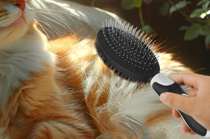 2 Pack Pet Grooming Brush Set Deshedding Double Sided Comb Massage Brush-Black V1263-JX-7504-3