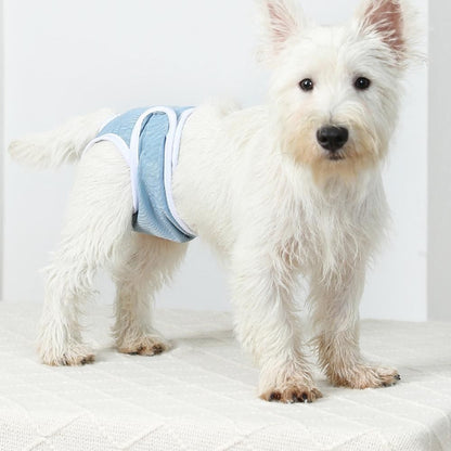 2pcs Dog Diapers Reusable Washable Nappy Wraps Panties for Pets Period Underpants-Blue M V1263-JX-7505-2