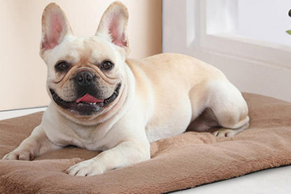 2Pcs Pet Blanket Self-Heating Bed Pad Cat Dog Self-Warming Cushion-Khaki M V1263-JX-7509-2