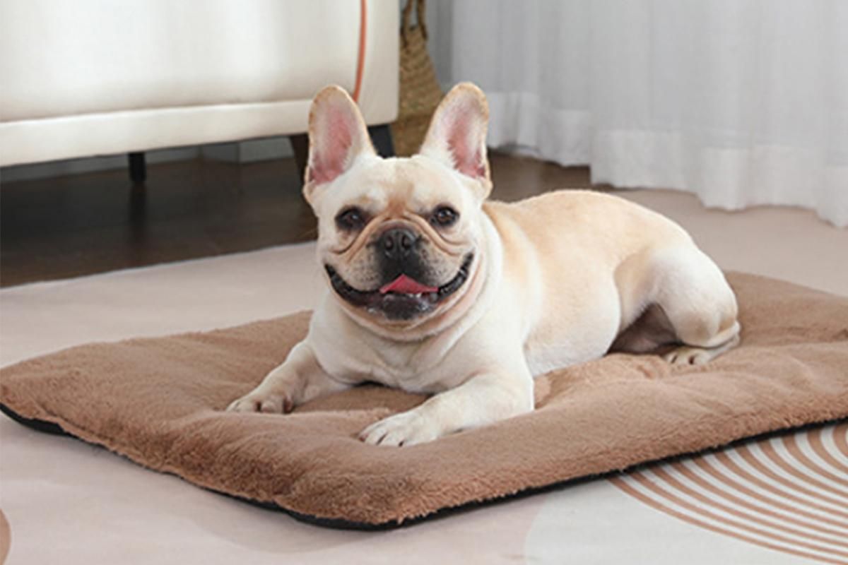 2Pcs Pet Blanket Self-Heating Bed Pad Cat Dog Self-Warming Cushion-Khaki M V1263-JX-7509-2