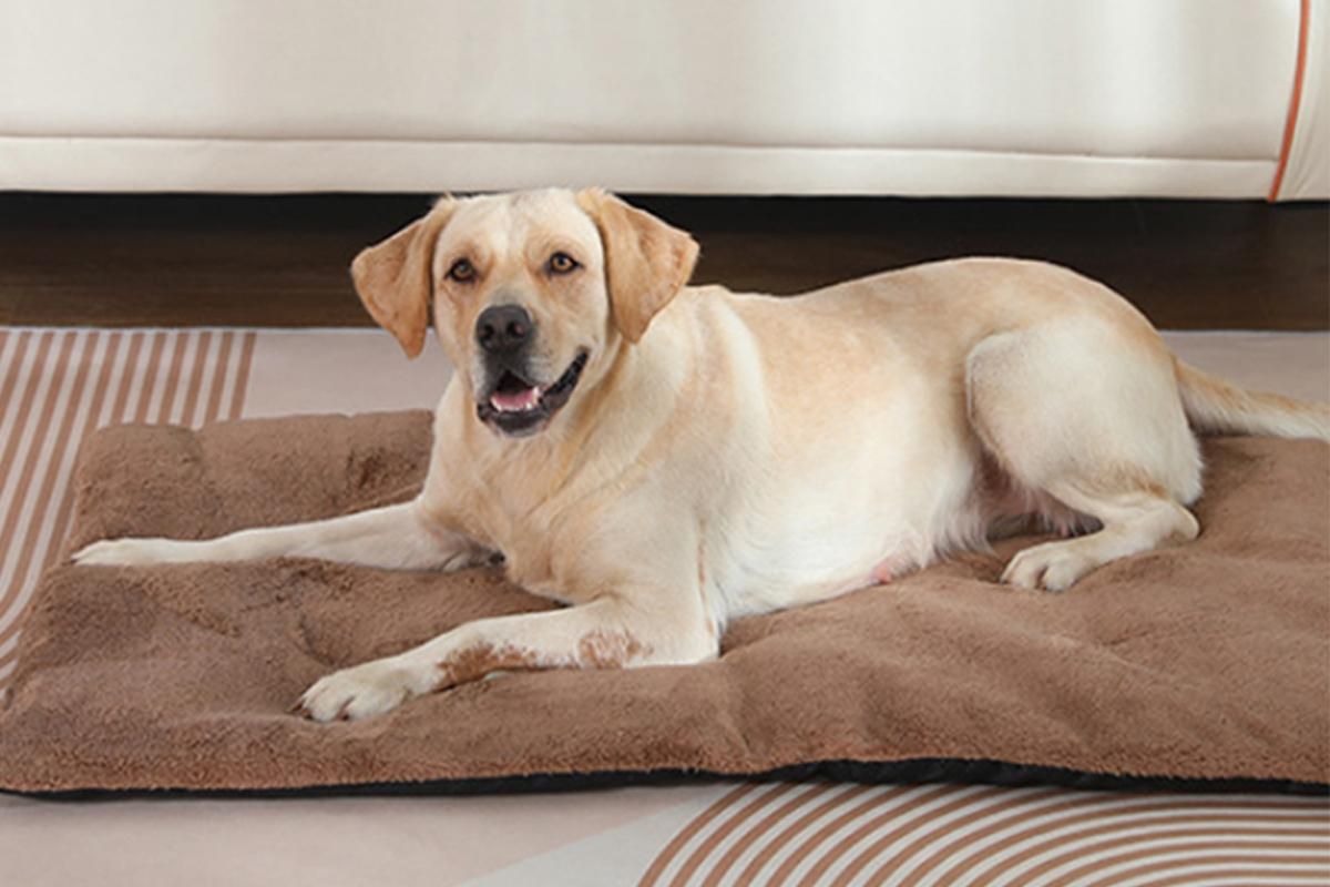 2Pcs Pet Blanket Self-Heating Bed Pad Cat Dog Self-Warming Cushion-Khaki M V1263-JX-7509-2