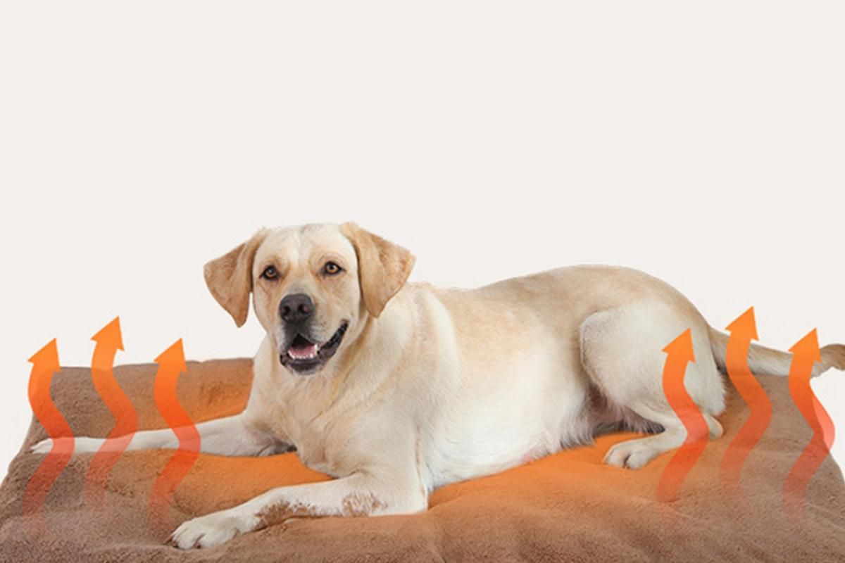 2Pcs Pet Blanket Self-Heating Bed Pad Cat Dog Self-Warming Cushion-Khaki L V1263-JX-7509-3