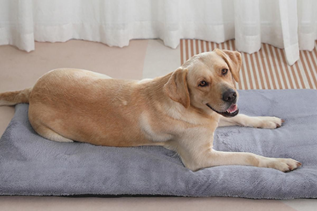 2Pcs Pet Blanket Self-Heating Bed Pad Cat Dog Self-Warming Cushion-Grey S V1263-JX-7510-1