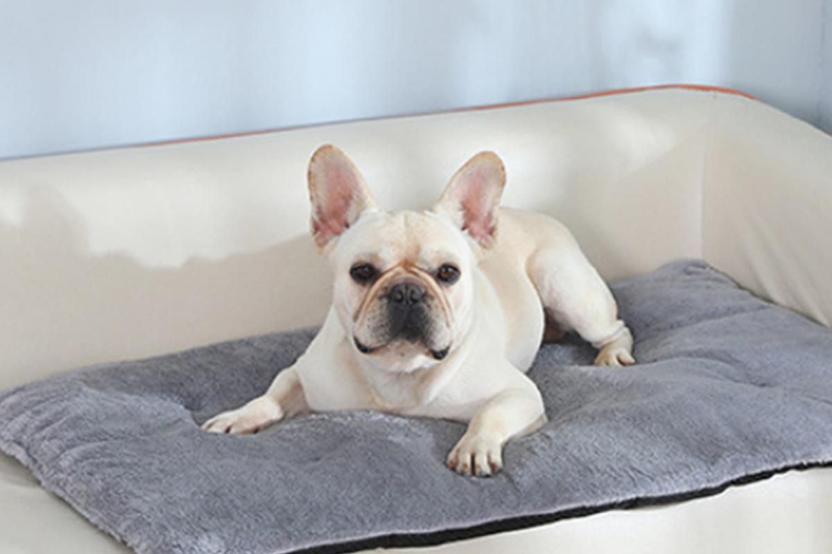 2Pcs Pet Blanket Self-Heating Bed Pad Cat Dog Self-Warming Cushion-Grey L V1263-JX-7510-3