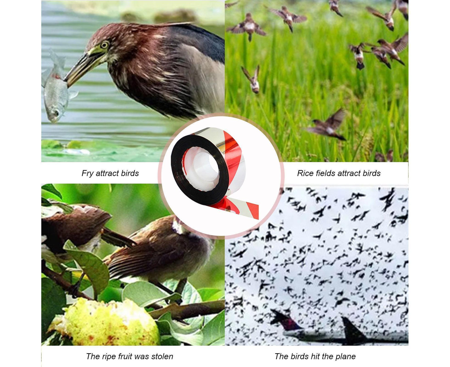 10Pcs Bird Repellent Ribbon Double Side Tape - Silver&Red V1263-JX-925