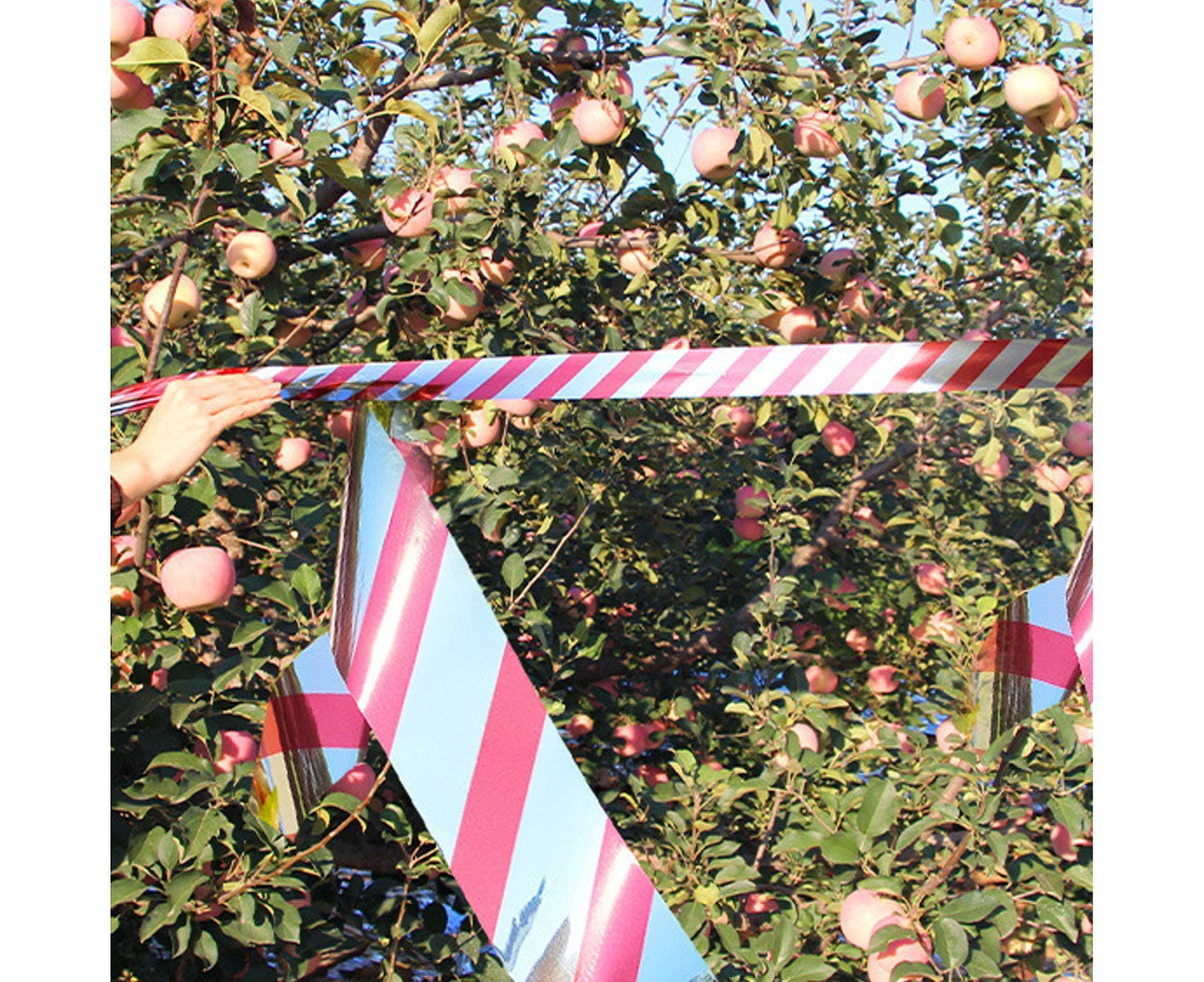 10Pcs Bird Repellent Ribbon Double Side Tape - Silver&Red V1263-JX-925