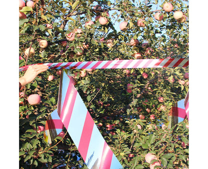 10Pcs Bird Repellent Ribbon Double Side Tape - Silver&Red V1263-JX-925