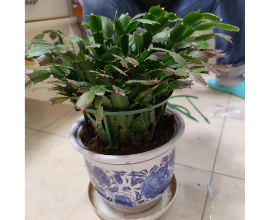 Plant Support Stake Garden Plant Support Cage Flower Stand Holder Household Supplies-B V1263-JX-934
