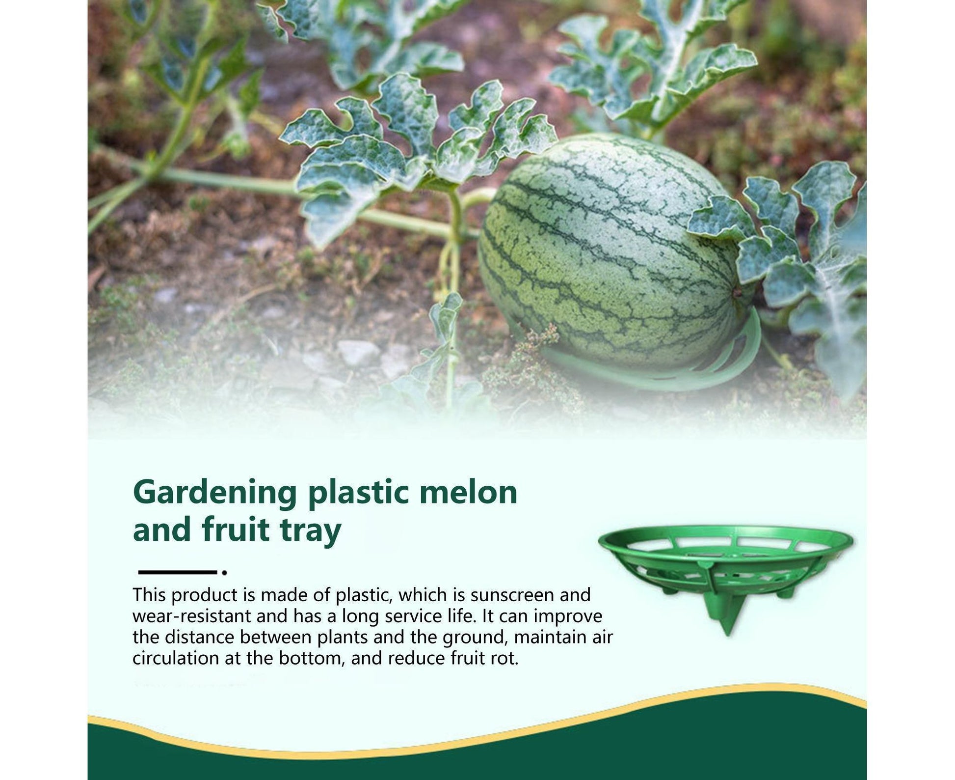 2Pcs Watermelon Growing Holders - Atrovirens L V1263-JX-935