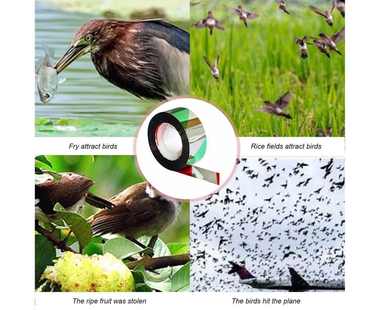 10Pcs Bird Repellent Ribbon Double Side Tape - Green V1263-JX-938