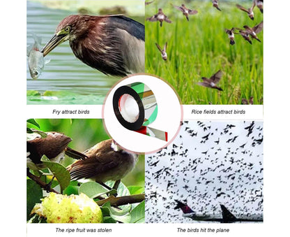 10Pcs Bird Repellent Ribbon Double Side Tape - Green V1263-JX-938