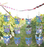 4Pcs Owl Bird Repellent Reflective Discs - 4pcs V1263-JX-954